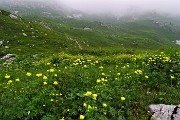 36 In vista di Baita Golla